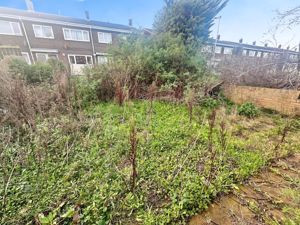 Photo 7- click for photo gallery